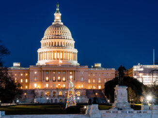 US Capitol and Christmas Tree (Foto von John Brighenti, Lizenz: CC BY 2.0)